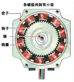 信誉平台介绍文案